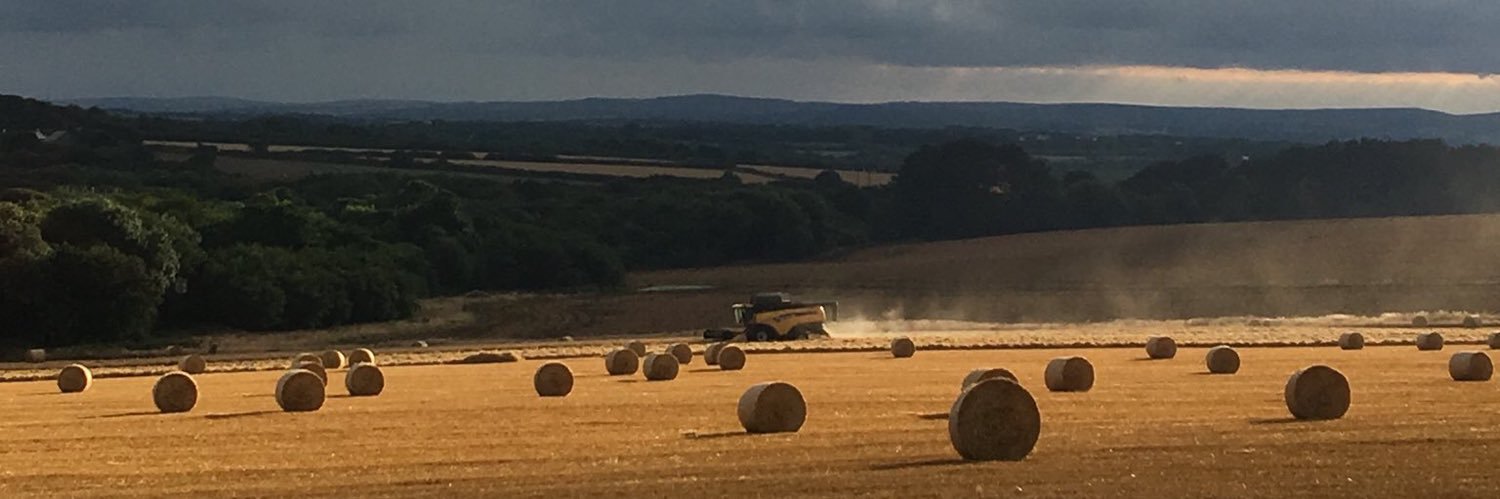 Matthew Collins ==🚜🥔🥬🌾 banner