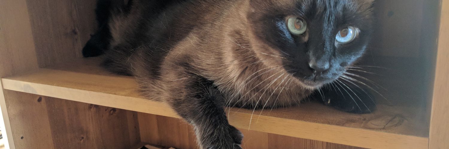 nuggit's profile banner image