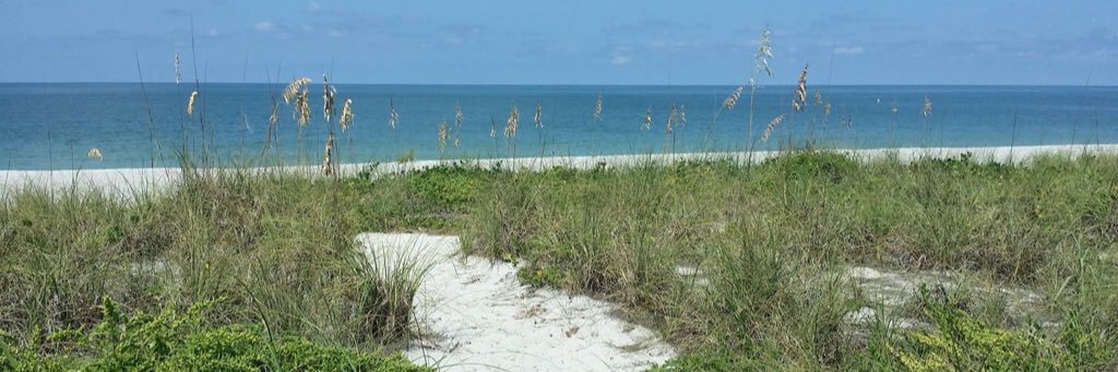 kellyanngould's profile banner image