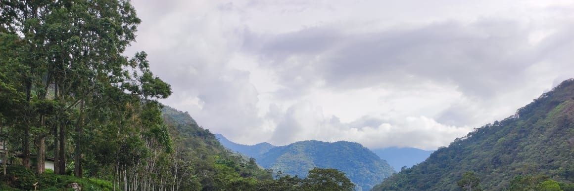 MarcoLujanCast1's profile banner image