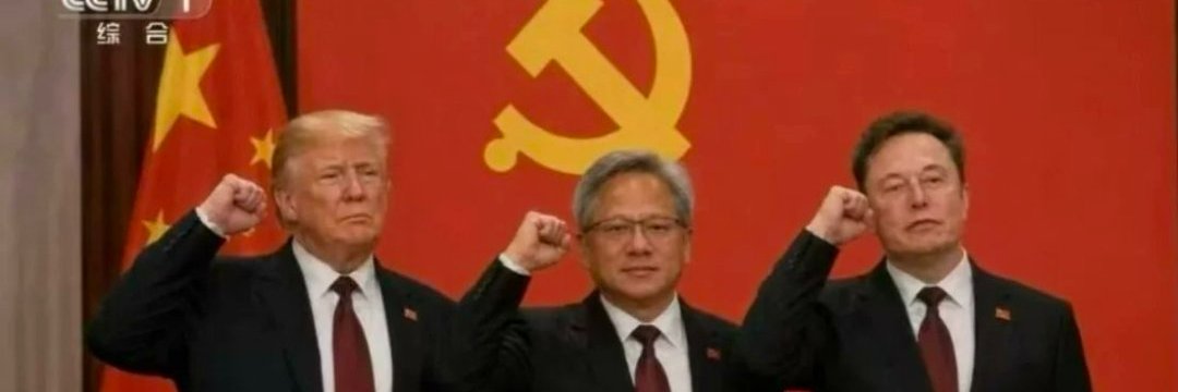 piruliro gato economista e linguista banner