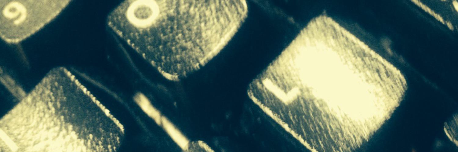 Lee Ann Colacioppo banner