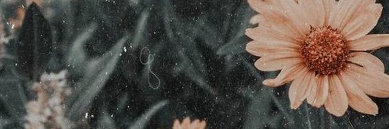 Emgrc_'s profile banner image