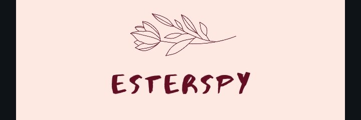 esterspy's profile banner image