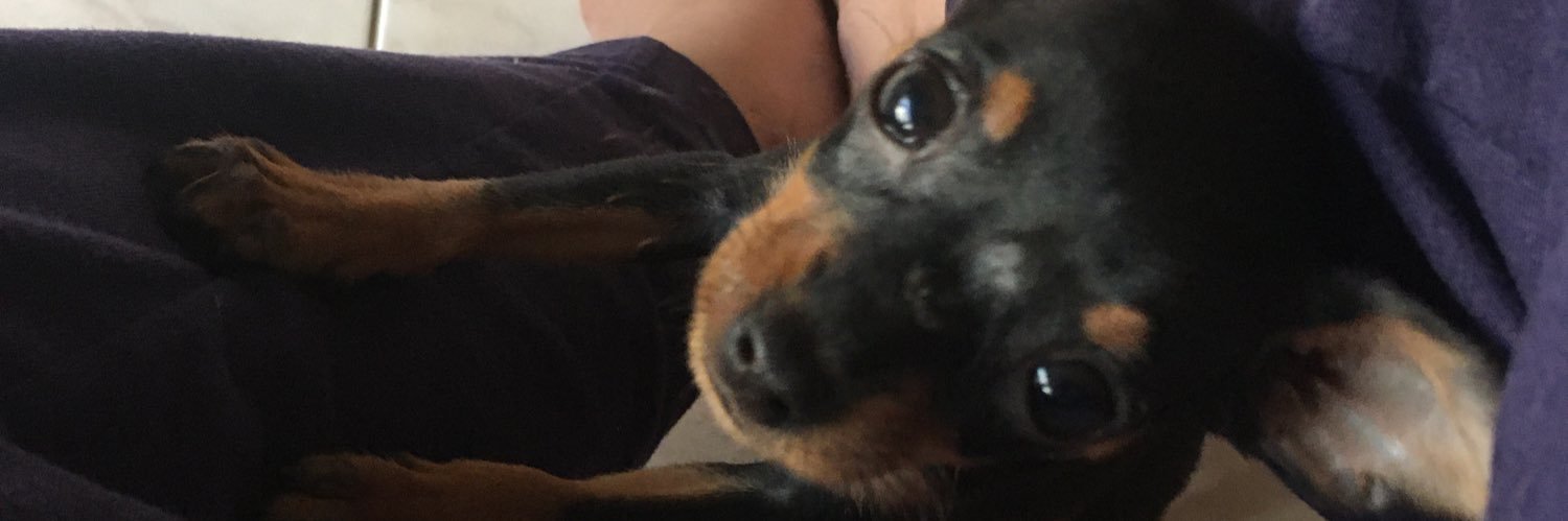 christinemeows's profile banner image
