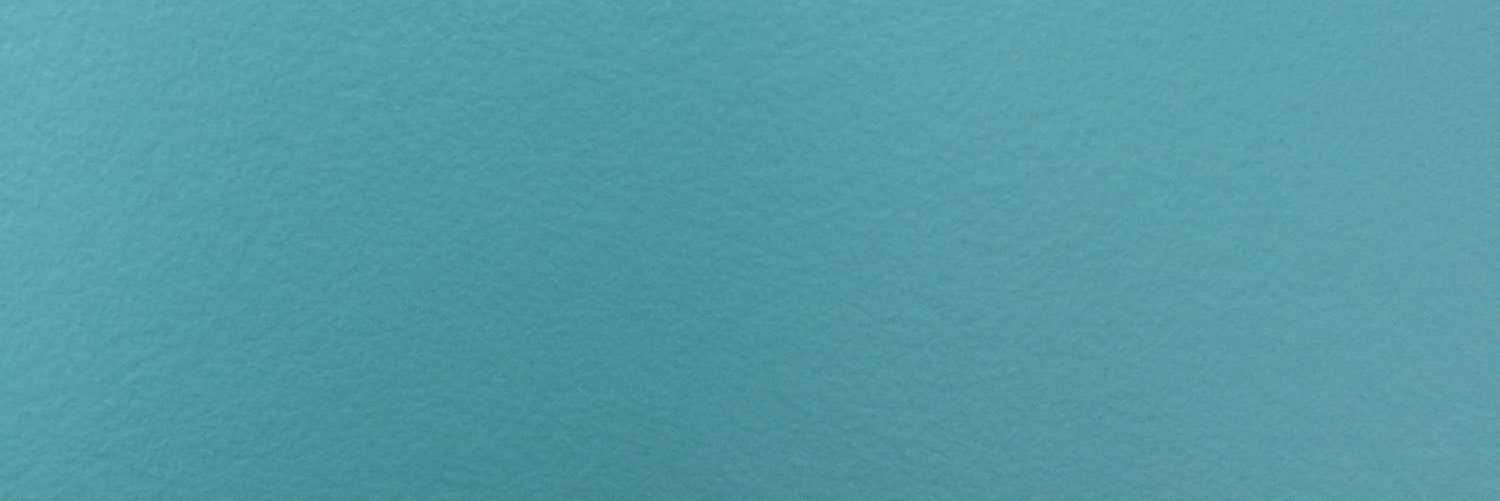 centralparkwig's profile banner image