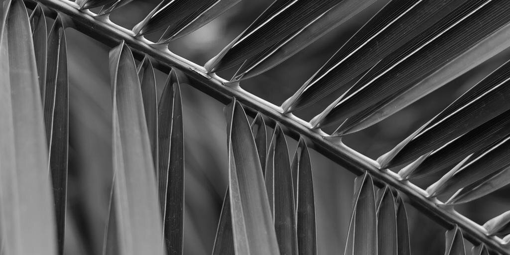 @cetan@toot.community banner