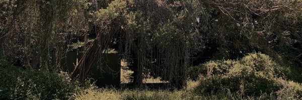 uncuntcious Profile Banner