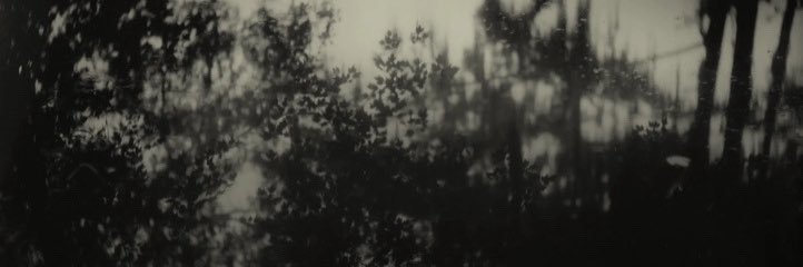 orion *:･ﾟ✧ banner