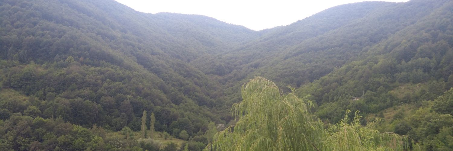TurakAli's profile banner image