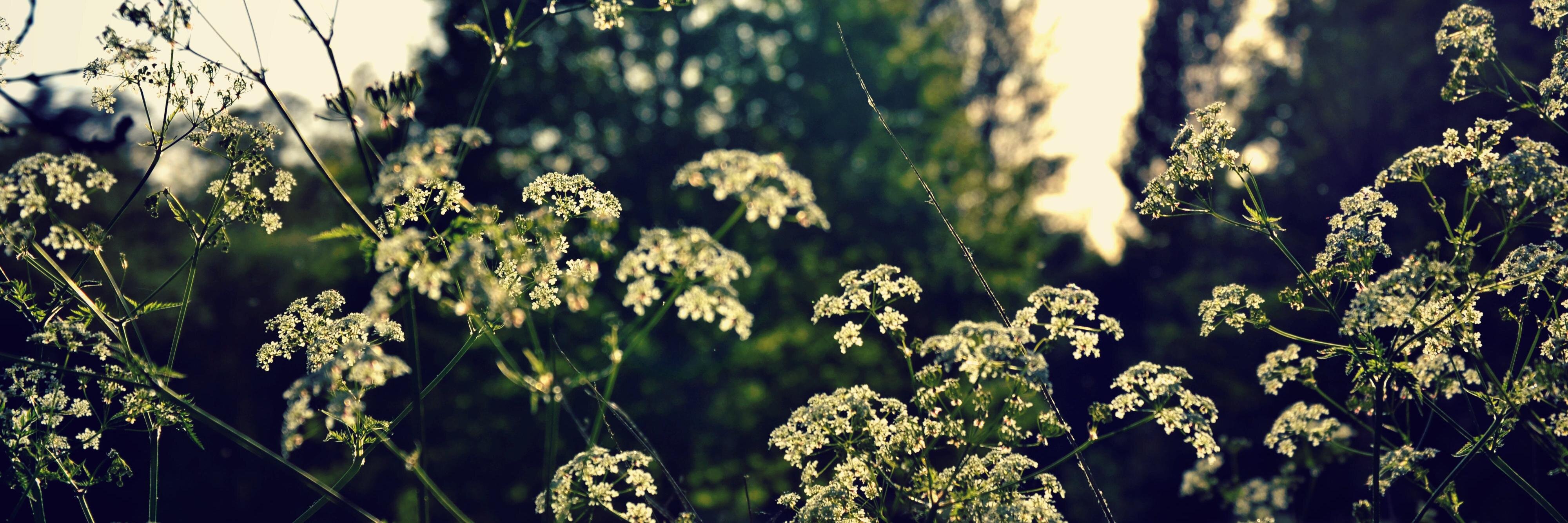 AimeeNelsonn's profile banner image