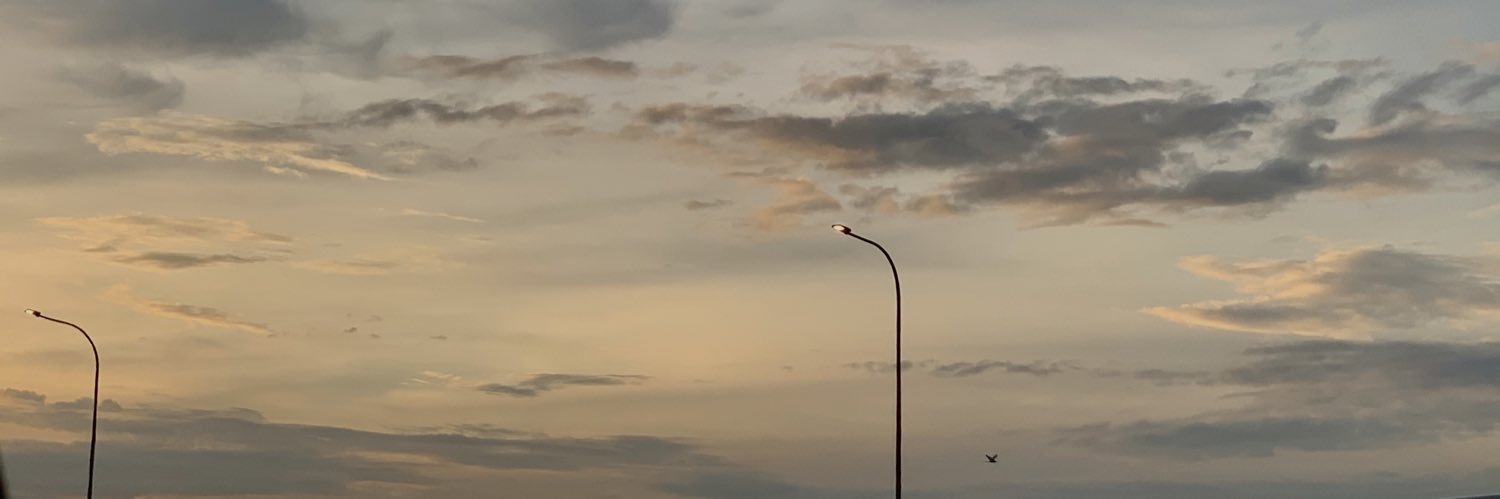 fairysphilerald's profile banner image