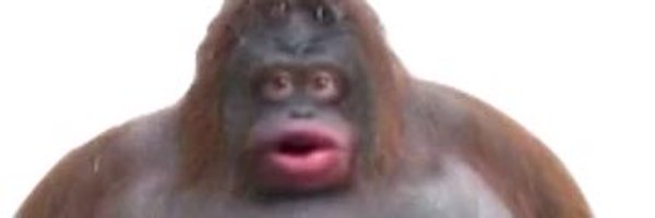 _joshthomas_ Profile Banner