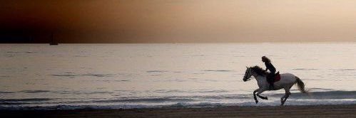 Afaf_aa2's profile banner image