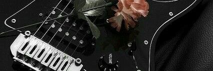 ลล banner