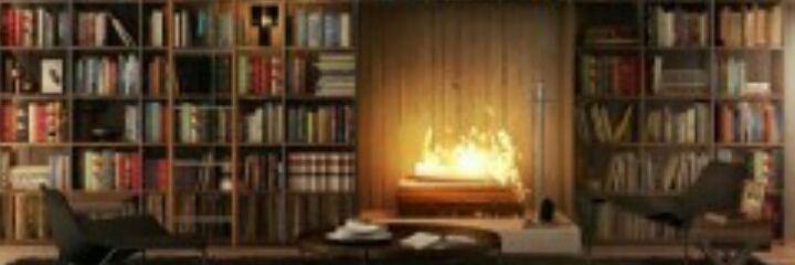 Insan_bilimii's profile banner image