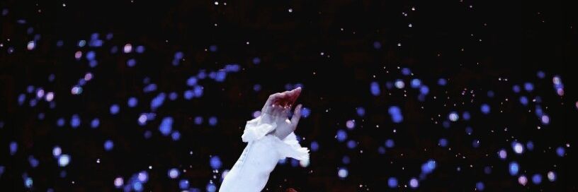 _vigilantae's profile banner image