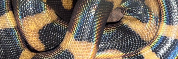 oboro_BHP Profile Banner