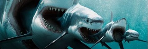 cryptoshark2140's profile banner image