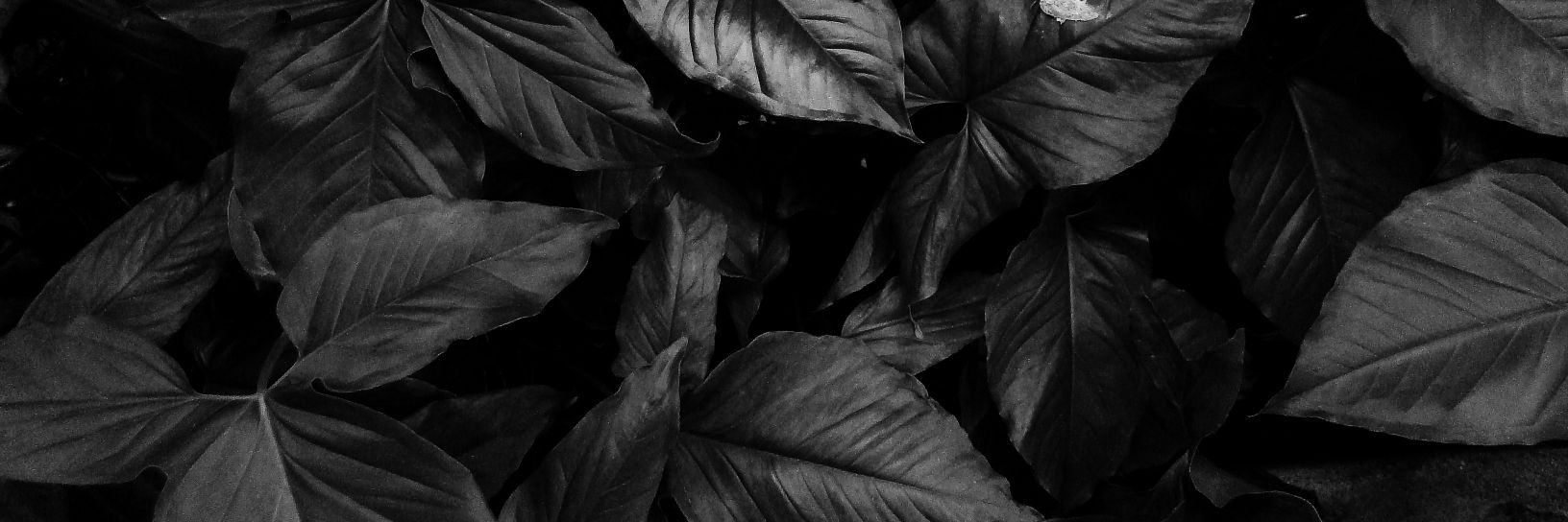 mutiaratsani_'s profile banner image
