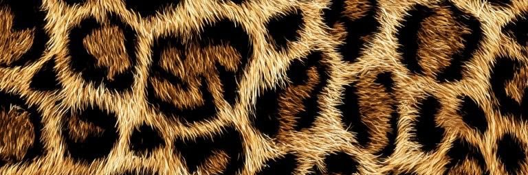 engetbb's profile banner image