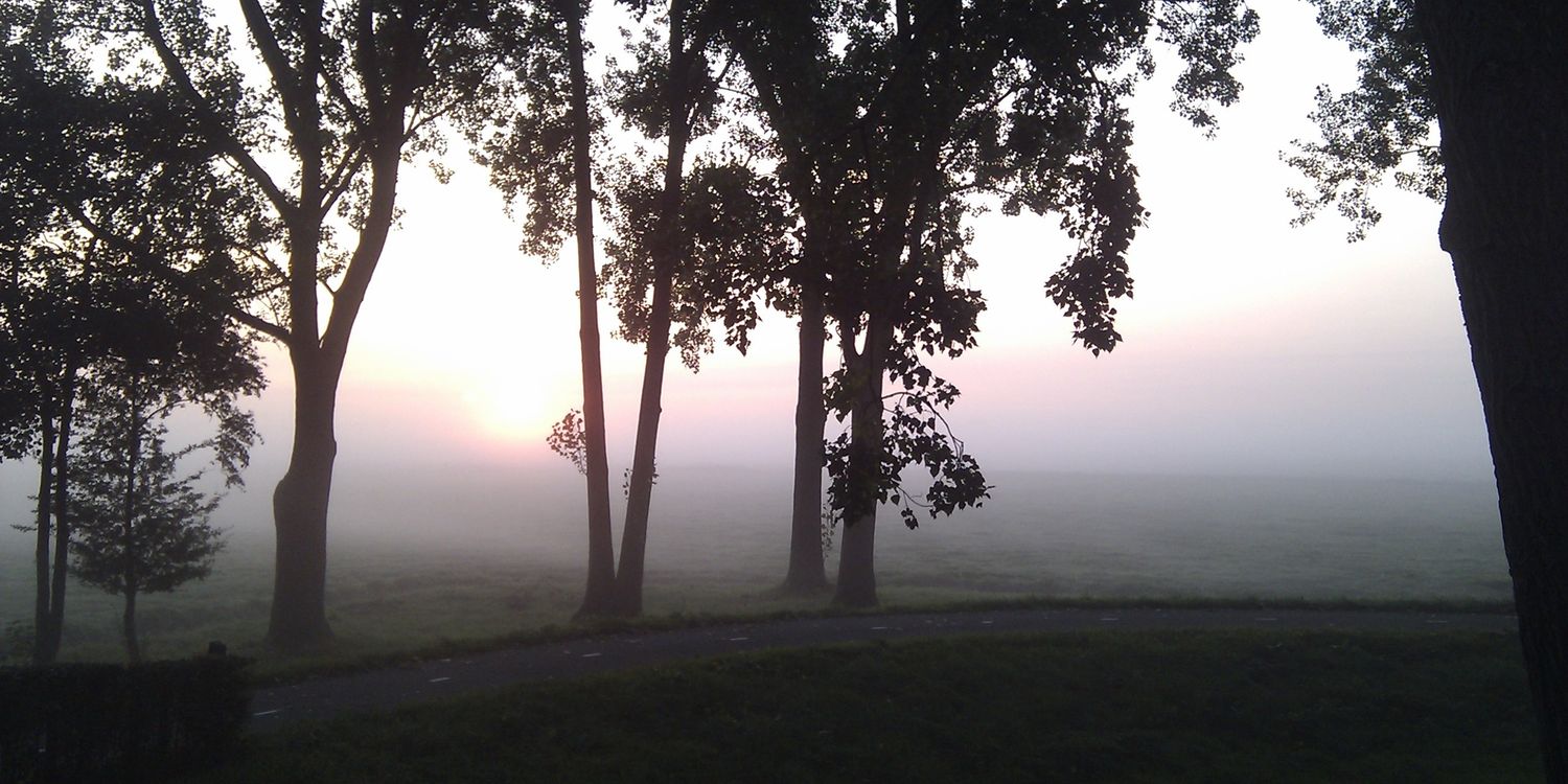 nolwitte's profile banner image