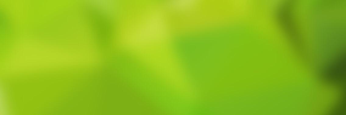 eseyorch's profile banner image