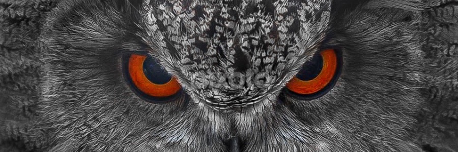 Skull335 banner