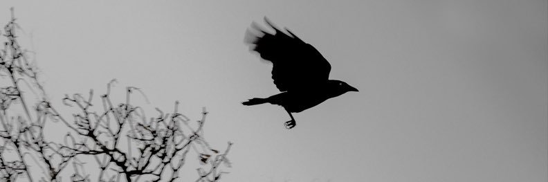 Fabien ✟ banner