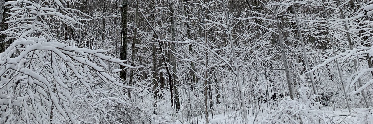 TheRodofJ's profile banner image