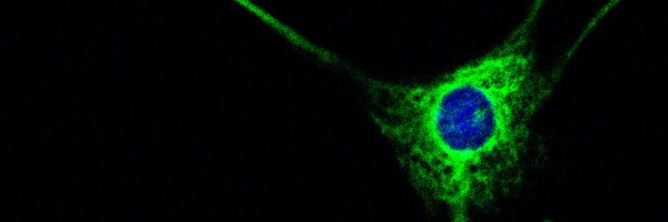 occludens Profile Banner