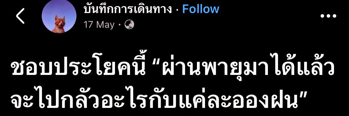 แมวเด็ก😺 banner