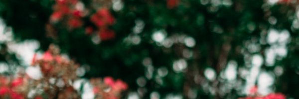 KevinEmbleton Profile Banner