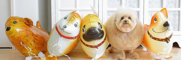 __mohu_c Profile Banner
