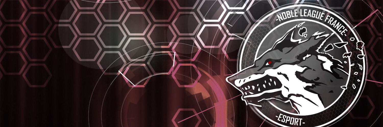 NLFeSport's profile banner image