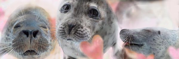 __Matty__14 Profile Banner