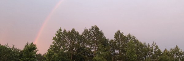 TGonzalezMDMBA Profile Banner