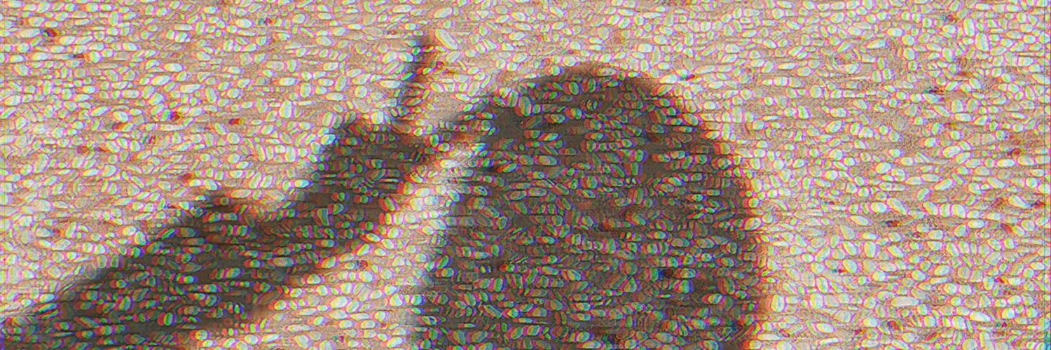 NFajrina23's profile banner image