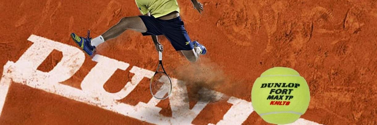rensosarco's profile banner image
