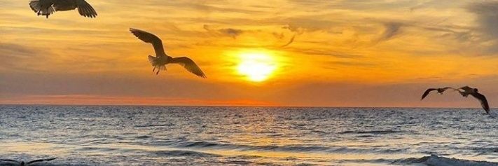 Hnin Pwint Wai banner