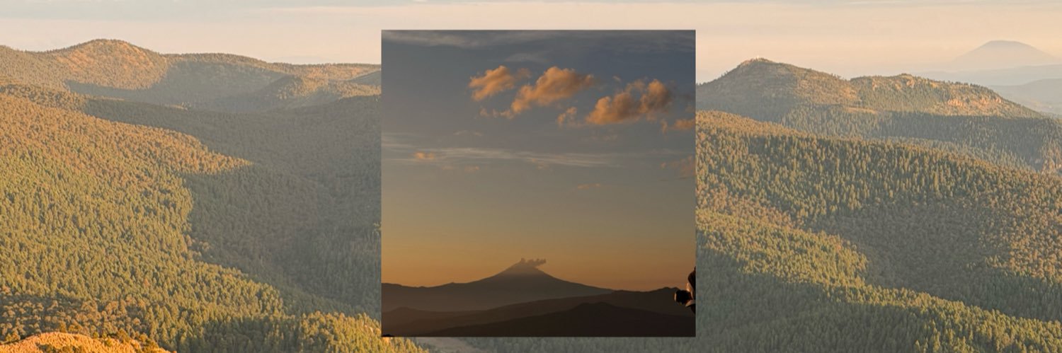 Barbsct's profile banner image