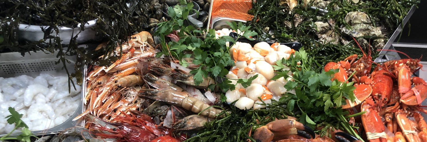 Passion4fish's profile banner image