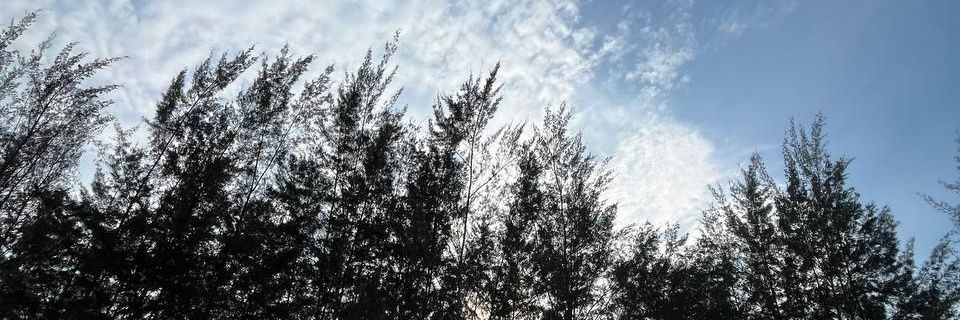 samer_aris's profile banner image