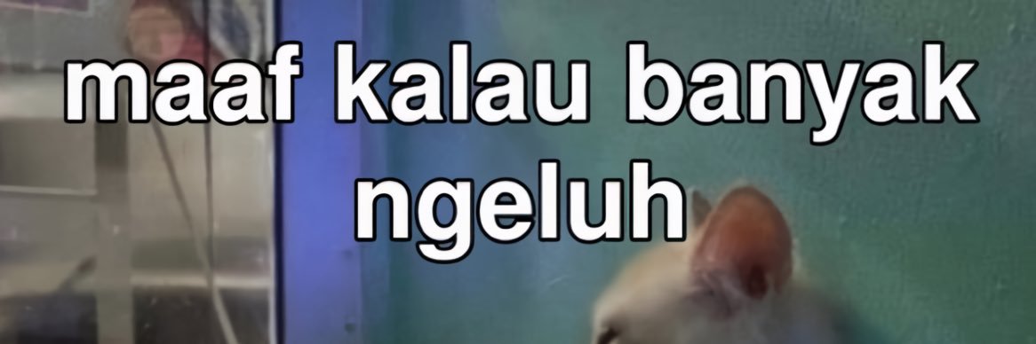 d⋆𐙚˚⊹ banner