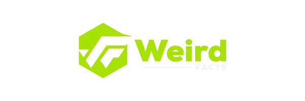 blowingfact Profile Banner