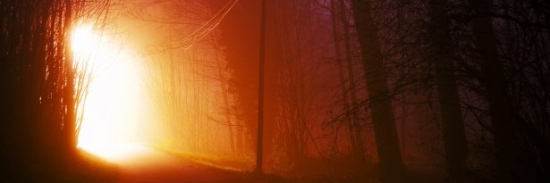 NightEngines's profile banner image