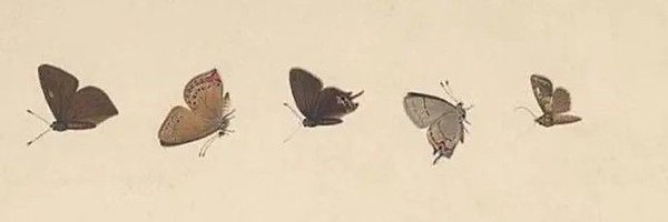0strya Profile Banner