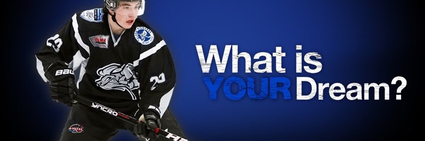 Scandinavian Hockey banner