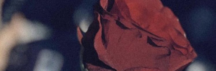 yesina_'s profile banner image