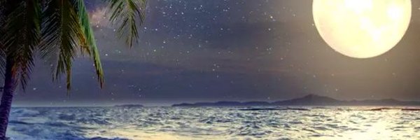 suchitkushwaha3 Profile Banner